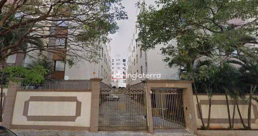 Apartamento com 2 quartos à venda, 54 m² por r$ 198.000 - vila brasil - londrina/pr