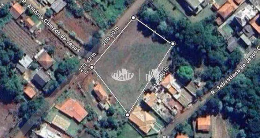 Terreno à venda, 3933 m² por r$ 800.000,00 - centro - tamarana/pr
