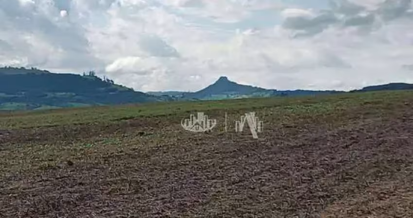 Fazenda à venda, 1306800 m² por r$ 12.000.000,00 - rio novo - reserva/pr