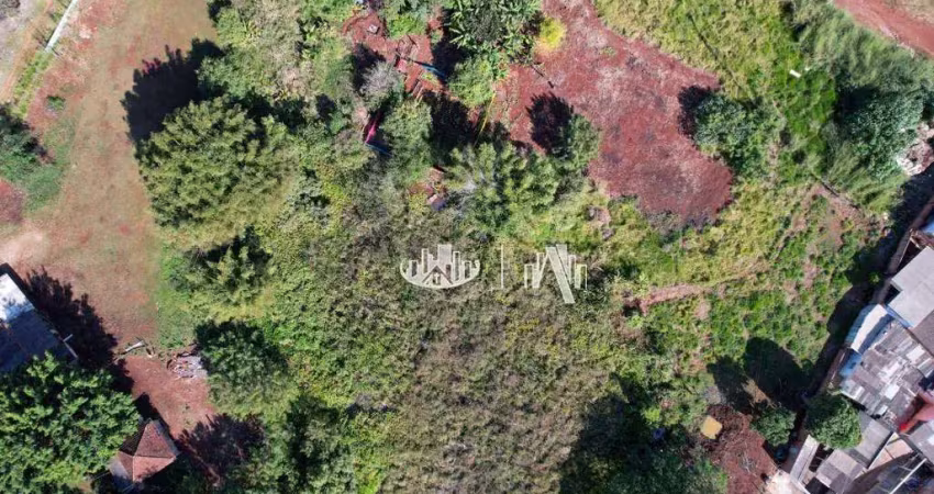 Área à venda, 38000 m² por r$ 1.800.000,00 - santa joana - londrina/pr