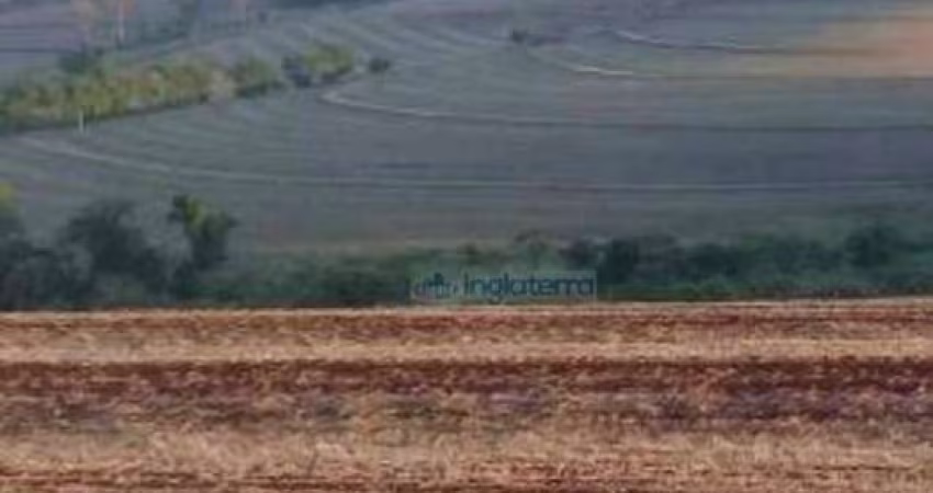 Sítio à venda, 96800 m² por R$ 5.700.000,00 - Rural - Londrina/PR