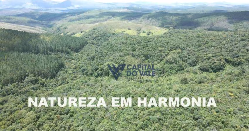Fazenda à venda, 2050000 m² por R$ 5.200.000,00 - Zona Rural - São Sebastião do Paraíso/MG