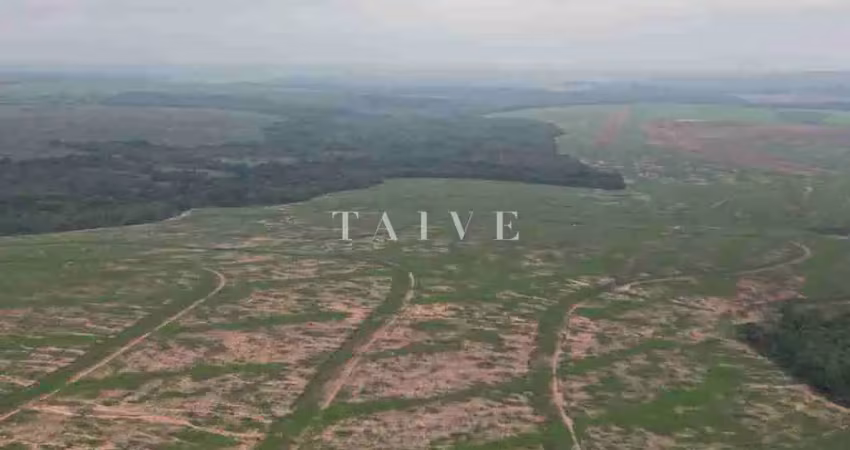Fazenda 3000 hectares à venda , área plana, casa sede, barracão, poço artesiano, internet e 63 km d