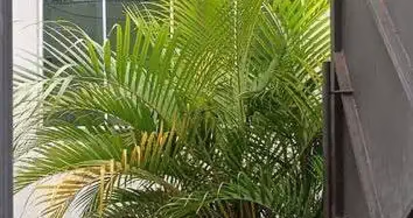 Casa com 3 quartos à venda em Laranjeiras, Uberlândia 