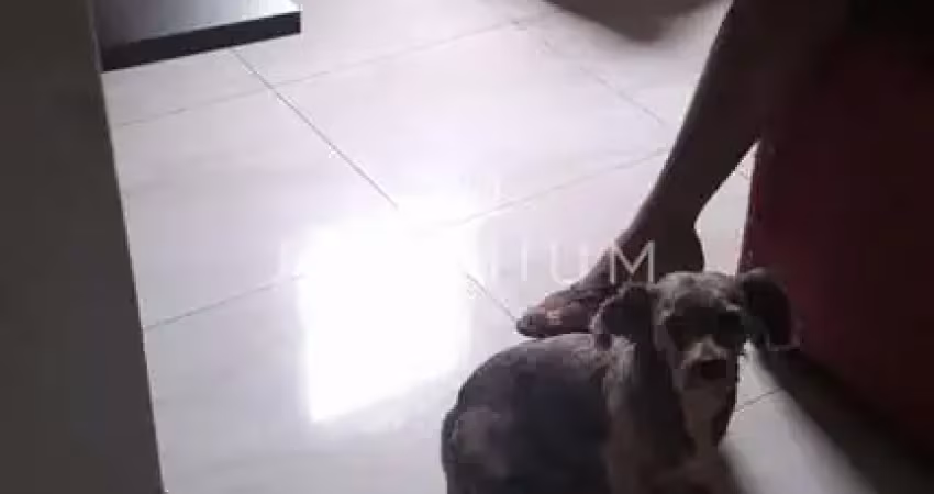 Casa com 3 quartos à venda em Laranjeiras, Uberlândia 