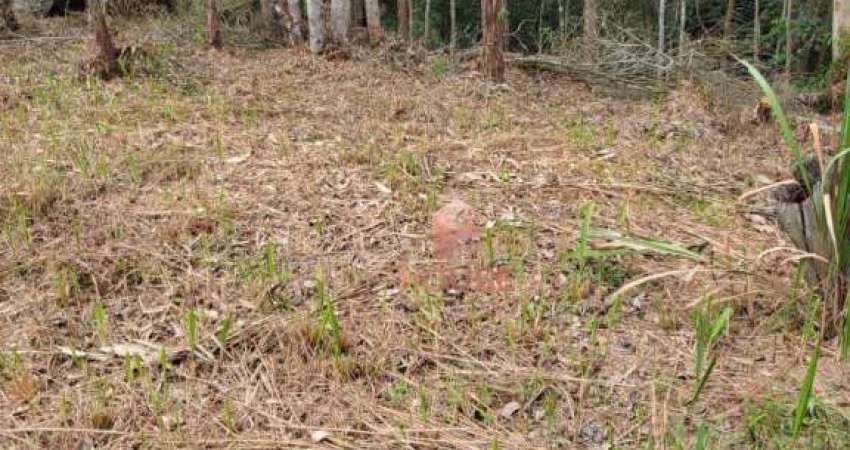 Terreno à venda, 800 m² por R$ 550.000,00 - Condomínio Reserva Ibirapitanga - Santa Isabel/SP