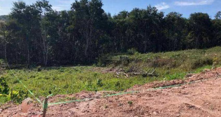 Terreno à venda, 1036 m² por R$ 450.000,00 - Condomínio Reserva Ibirapitanga - Santa Isabel/SP