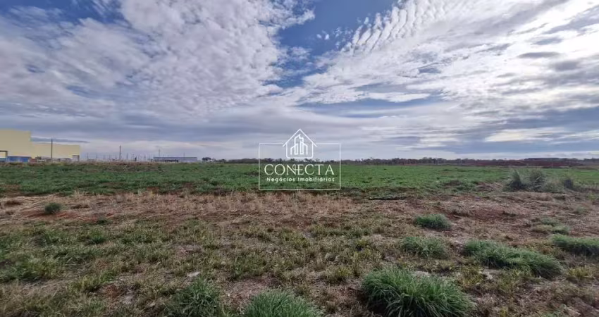 Terreno à venda no Loteamento Centro Empresarial Leste II, Uberlândia 