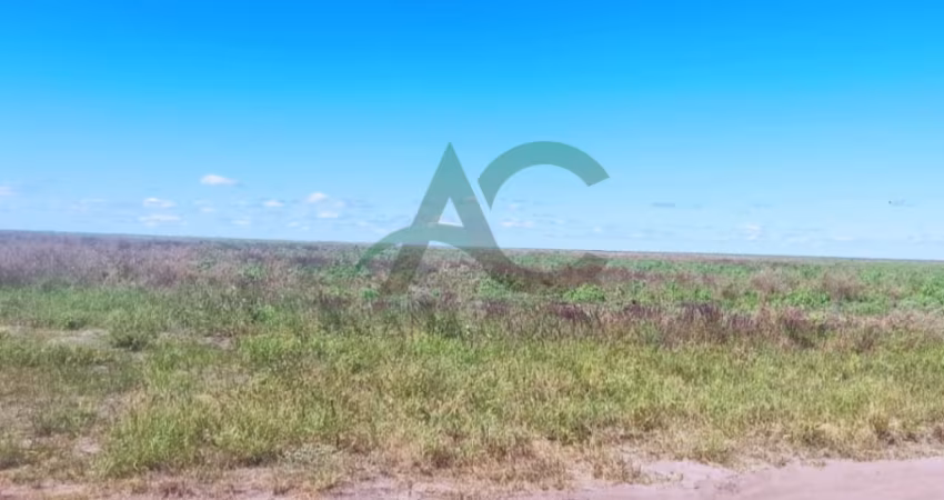 ARRENDO OU VENDO Fazenda em Uruçui no PIAUÍ com 14.000 hectares