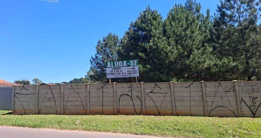 Terreno para alugar, 9500 m² por r$ 4.500,00/mês + taxas - umbará - curitiba/pr