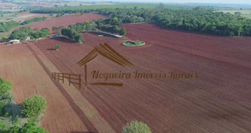Fazenda para Venda em Itapetininga, Área Rural de Itapetininga