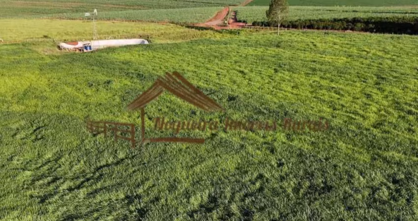 Chácara / sítio à venda na Área Rural de Avaré, Avaré 