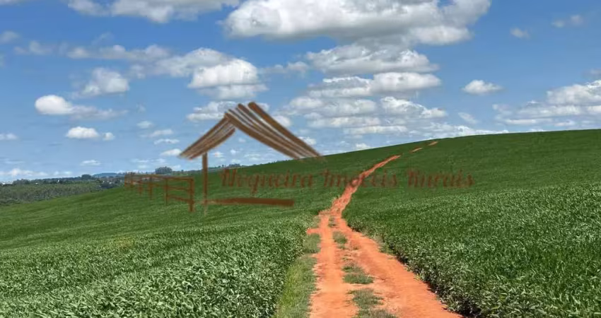 Fazenda à venda no Zona Rural, Guapirama 