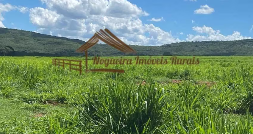 Fazenda à venda na Zona Rural, Quirinópolis 