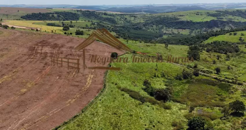 Fazenda à venda na Rua Dona Francisca Leonel, Zona Rural, Piraju