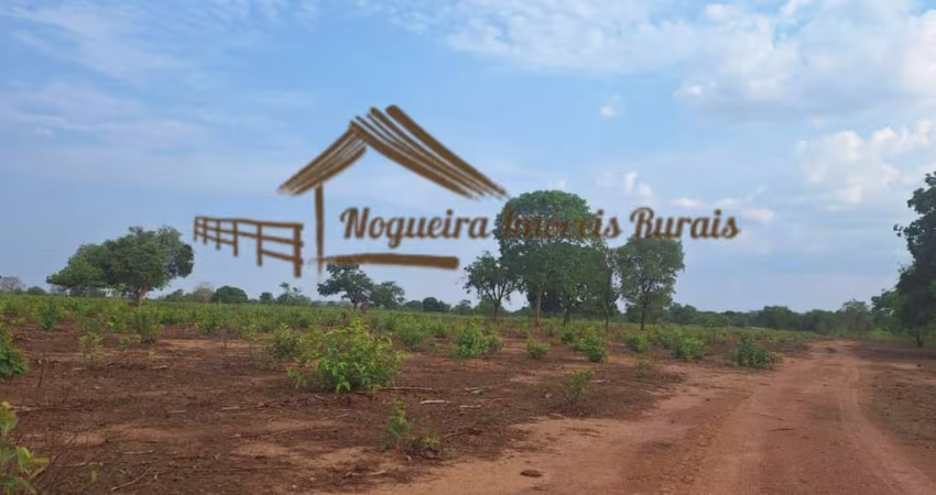 Fazenda para Venda em Cuiabá, Bela Vista