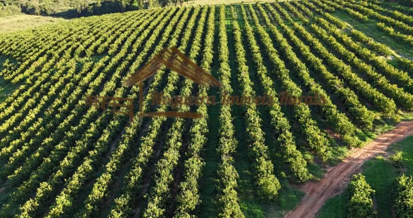 Fazenda para Venda em Ubirajara, Área rural