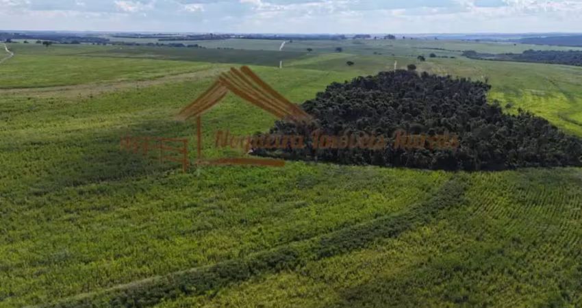 Fazenda à venda na Área Rural, Área Rural de Avaré, Avaré