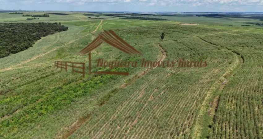 Fazenda à venda na Área Rural, Área Rural de Avaré, Avaré