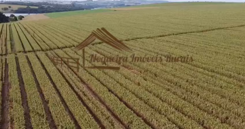 Fazenda para Venda em Avaré, Área Rural de Avaré