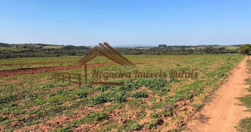 Fazenda para Venda em Itapetininga, Área Rural de Itapetininga