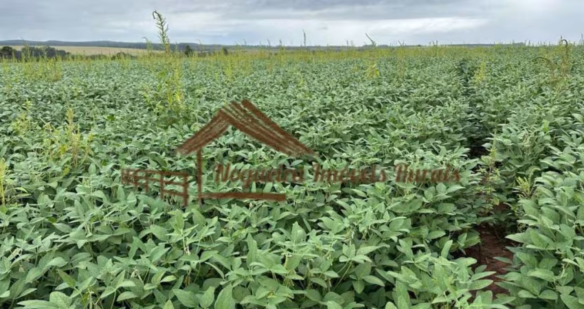 Fazenda para Venda em Itapetininga, Área Rural de Itapetininga