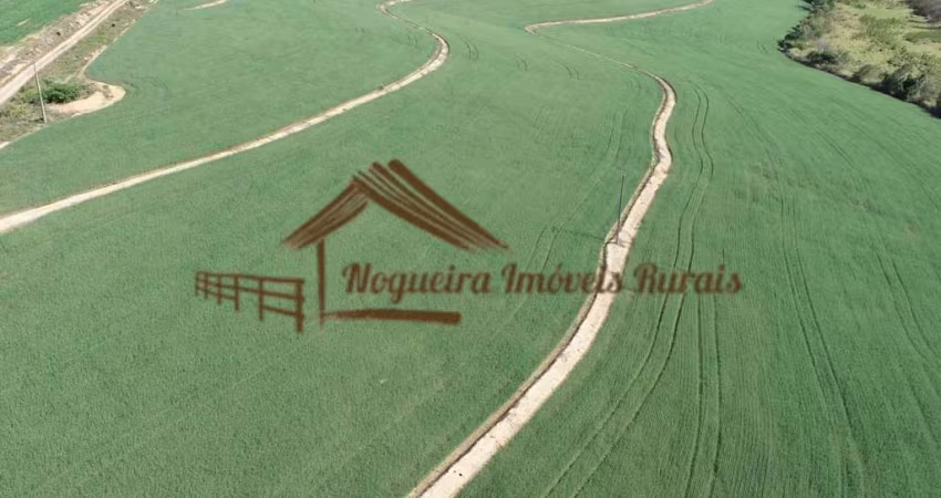 Fazenda para Venda em Porto Feliz, Área Rural de Porto Feliz