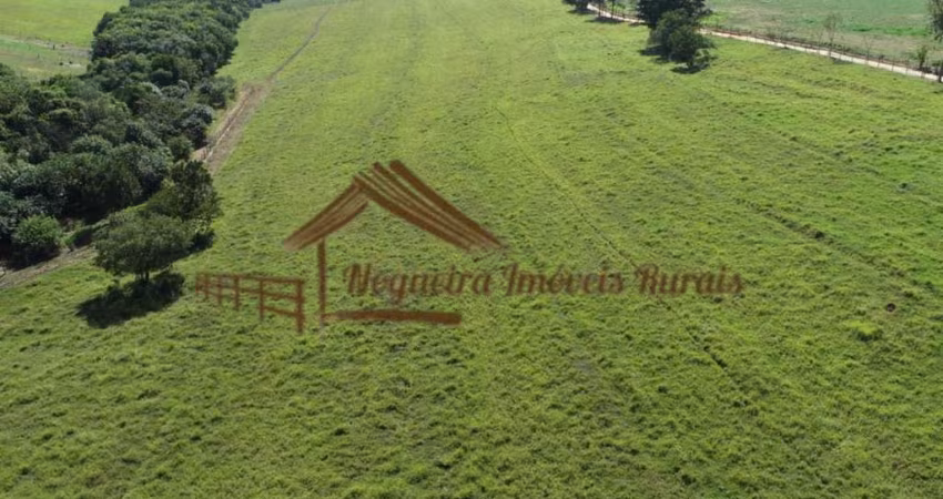 Fazenda para Venda em Itapetininga, Área Rural de Itapetininga
