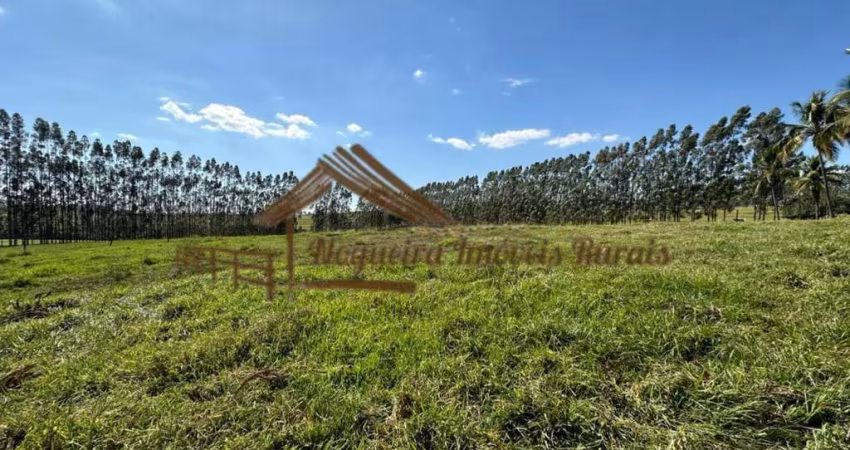 Sítio para Venda em Porangaba, Área rural