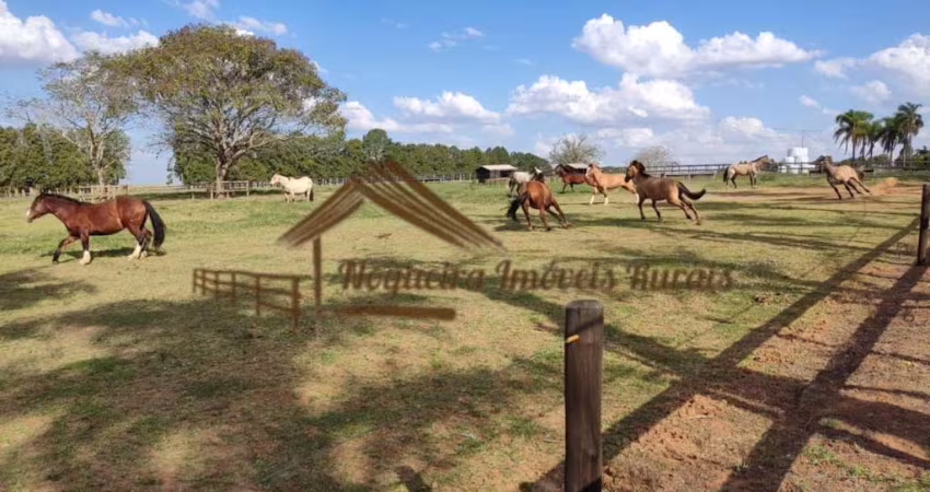 Haras para Venda em Itapetininga, Área Rural de Itapetininga