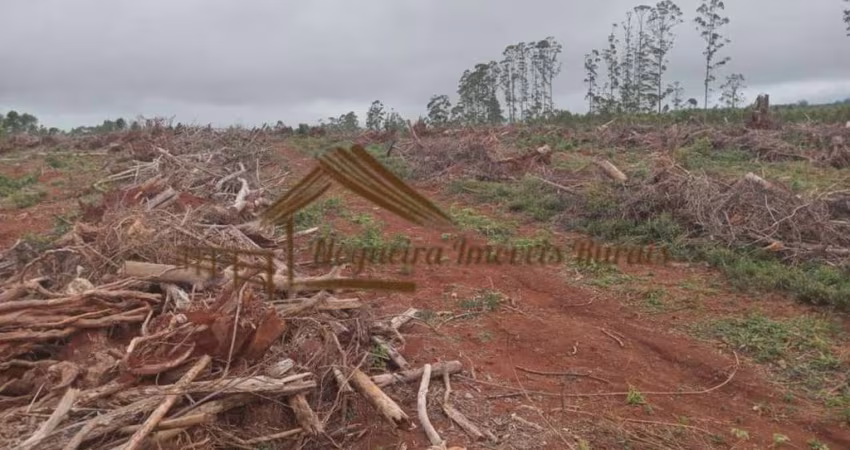 Fazenda para Venda em Pilar do Sul, Área rural