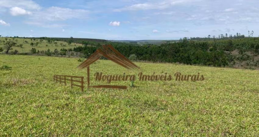 Fazenda para Venda em Porangaba, Área rural