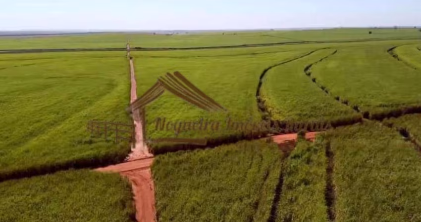 Fazenda para Venda em Pereira Barreto, Área Rural de Pereirra Barreto