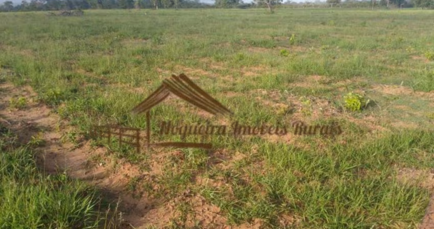 Fazenda para Venda em Pedro Gomes, Área rural