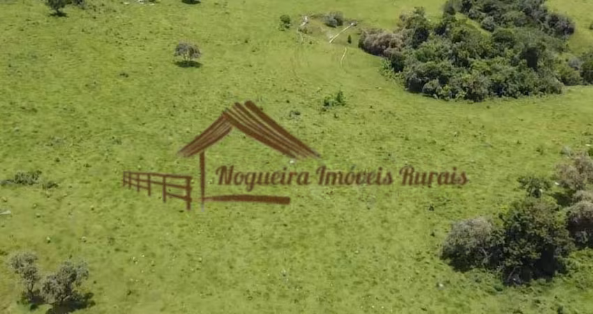 Sítio para Venda em Conchas, Área rural