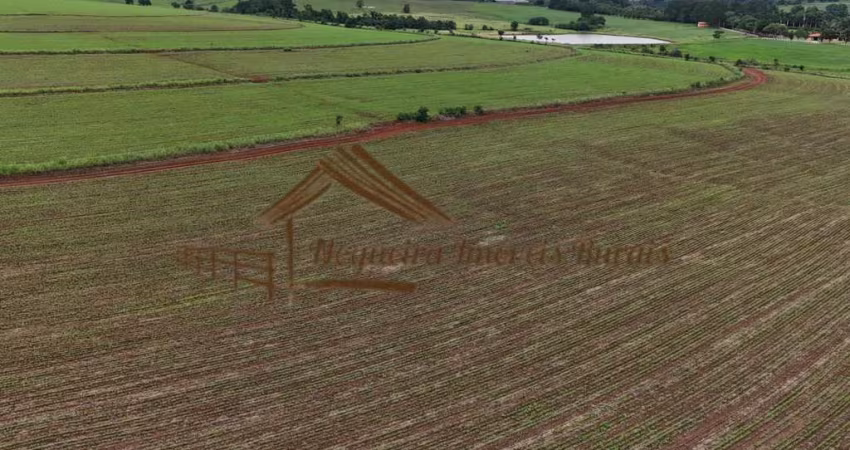 Sítio para Venda em Quadra, Área rural