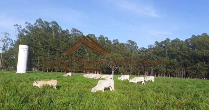 Sítio para Venda em Terenos, Área rural
