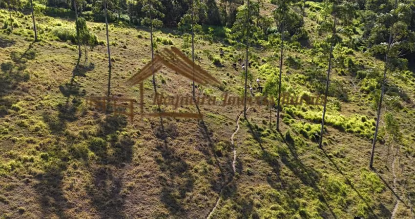 Sítio para Venda em Guareí, Área rural