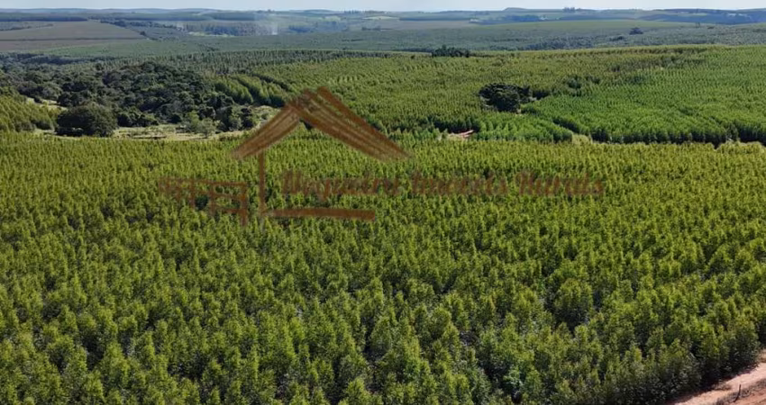 Fazenda para Venda em Bauru, Área Rural de Bauru