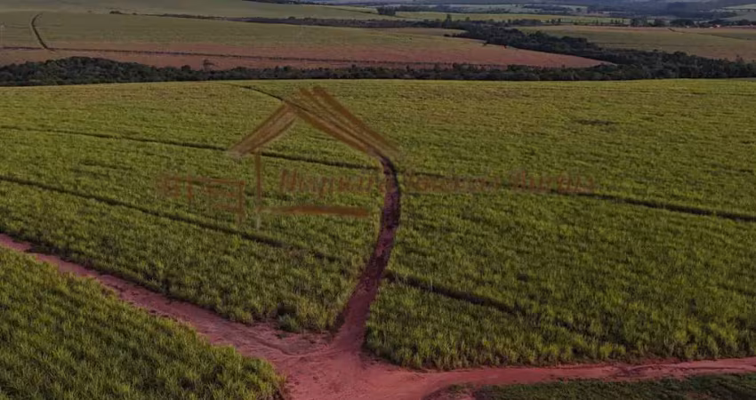 Fazenda à venda na Área Rural, ,, Zona Rural, São Manuel