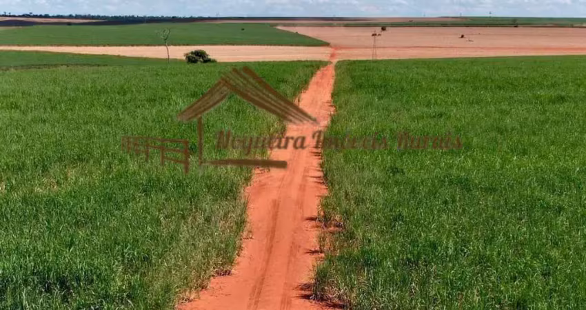 Fazenda para venda em presidente prudente, área rural de presidente prudente