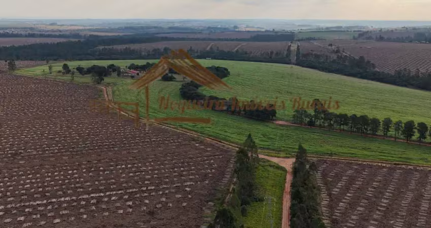 Fazenda à venda na Área Rural de Avaré, Avaré 