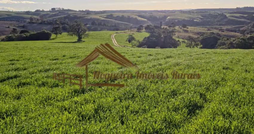 Fazenda para venda em itapetininga, área rural de itapetininga
