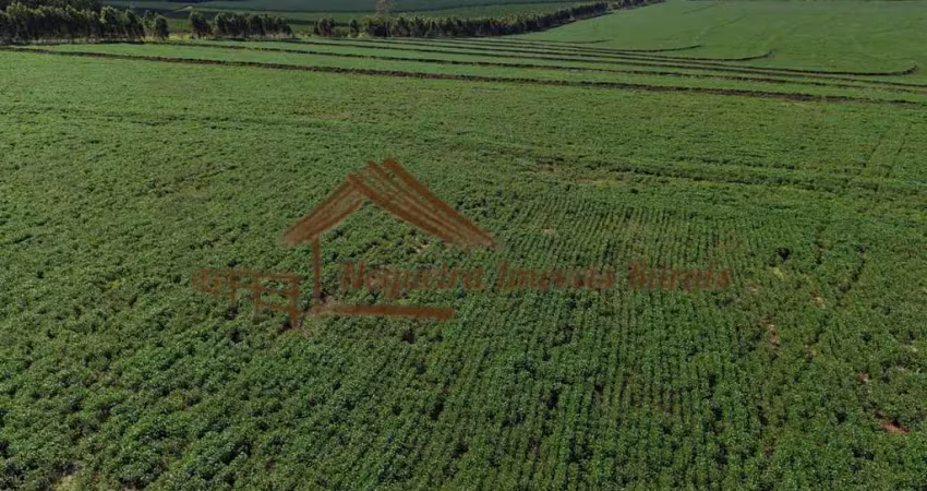 Fazenda à venda na Área Rural de Avaré, Avaré 