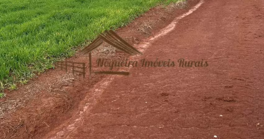 Fazenda à venda na Área Rural, 48,0, Área Rural de Avaré, Avaré