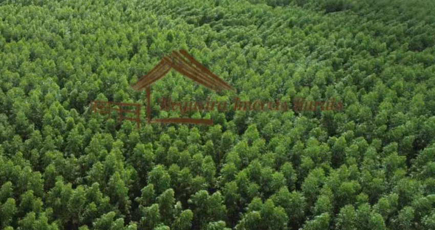 Fazenda à venda na Área Rural de Avaré, Avaré 