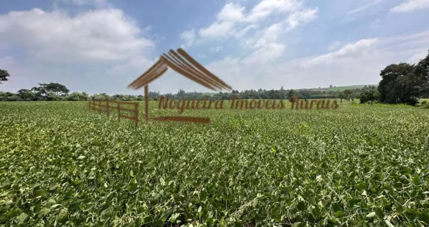 Chácara / sítio à venda na Área Rural de Avaré, Avaré 