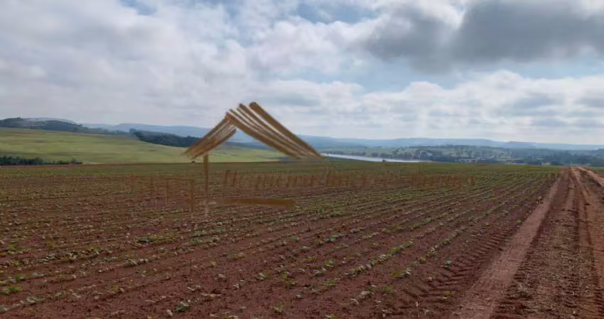 Fazenda à venda na Área Rural de Avaré, Avaré 