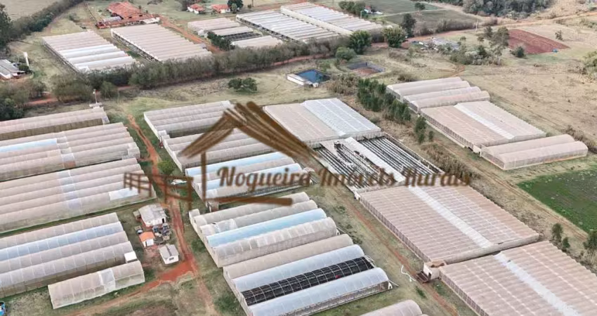 Chácara / sítio à venda na Área Rural de Avaré, Avaré 