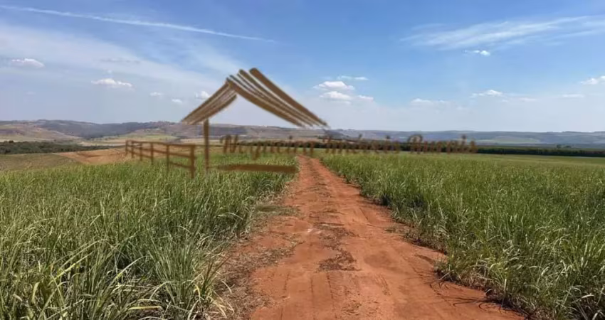 Fazenda à venda na Área Rural de Avaré, Avaré 